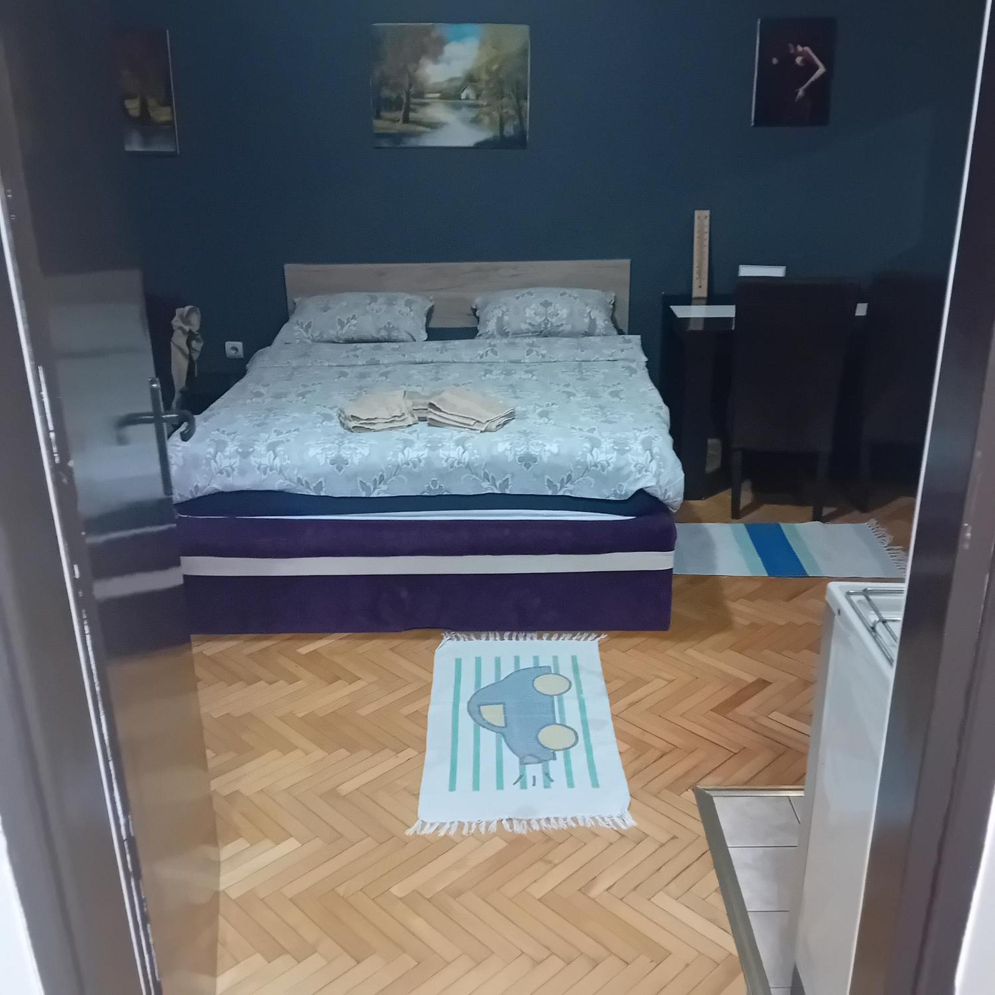 Apartment Viktor 2 Stan Na Dan Šabac Zewnętrze zdjęcie